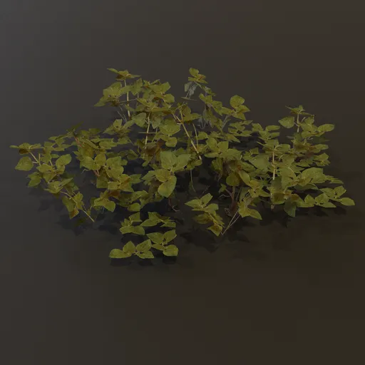 Ground Cover Grass Sml