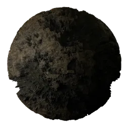 Jagged Rock