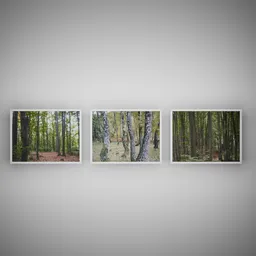 Forest Wall Art Set nature