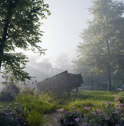 Forest
