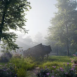 Forest