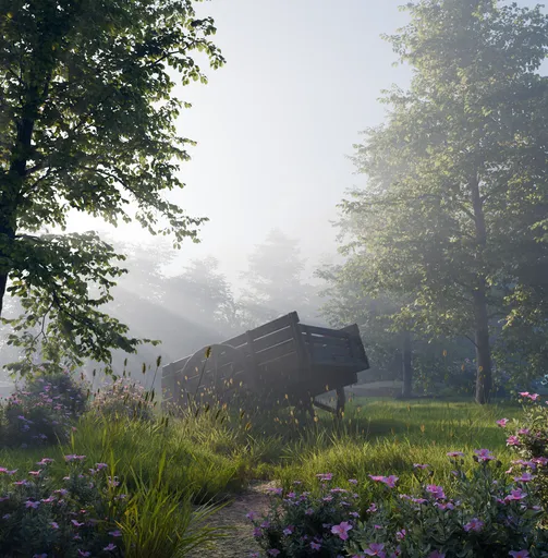 Forest