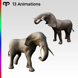Elephant Baby Animated
