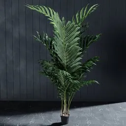 "3D model of artificial Kentia palm tree for Blender 3D software. Perfect for adding interior greenery, featuring lush foliage and standing at a height of 210 cm. Ideal for any potted plant lover looking for a customizable addition to their space."
