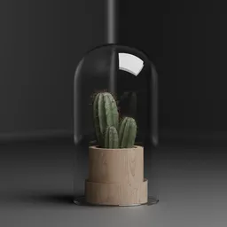 Minimal Glass Dome Plant Cactus Display