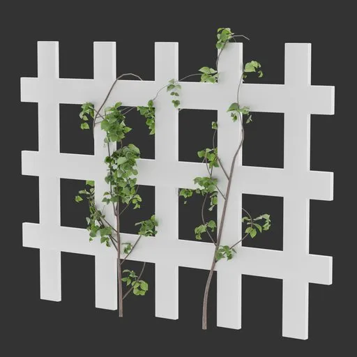 Divider Fence Climber Plant