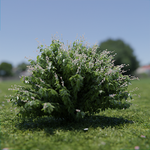Symphoricarpos Albus | Outdoor Plants models | BlenderKit