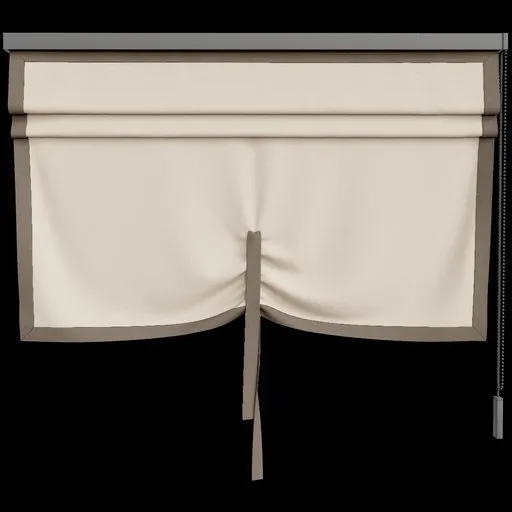 Curtain
