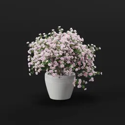Cascading Pink Blossoms in White Pot