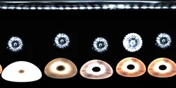 Hdrlight black white studio