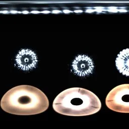 Hdrlight black white studio