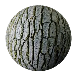 Tree bark