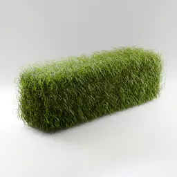 IB-Hedge Grass Slab