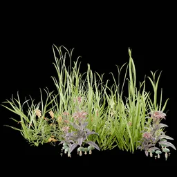 Realistic Outdoor Plants