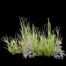 Realistic Outdoor Plants