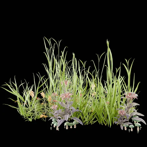 Realistic Outdoor Plants