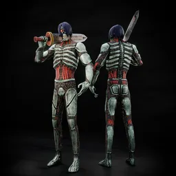 Warrior Robot