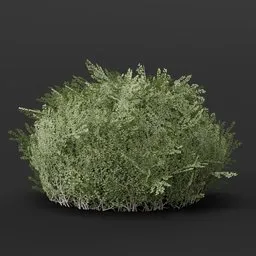 Detailed 3D round boxwood hedge model, ideal for Blender, enhancing landscapes in games and 3D visualizations.