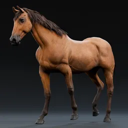 Realistic Rigged Golden Horse