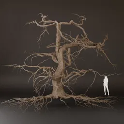 SJ-Dry Tree With Exposed Roots