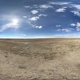 Yellow Ground Bluesky Cloud