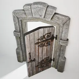 Medieval Door