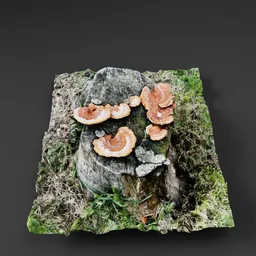 Tree Stump with Mushrooms