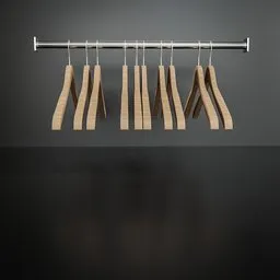 Coat hangers with wardrobe pole