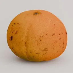 Tangerine fruit realistic