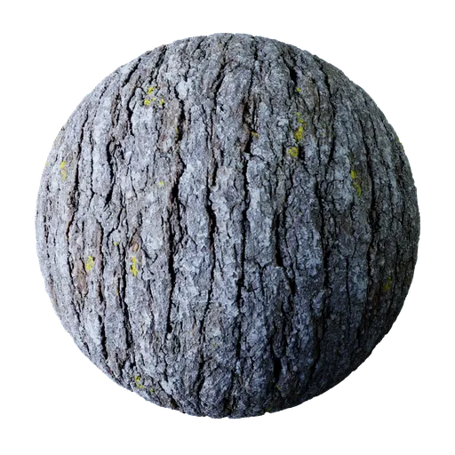 Tree Bark