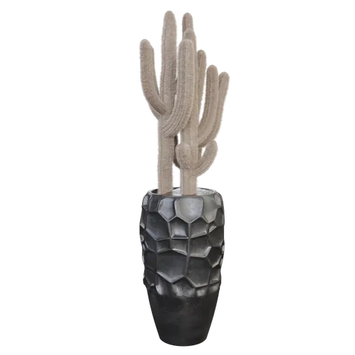 Detailed 3D cactus model in a geometric pot, Blender cycles render with centimeter accuracy.