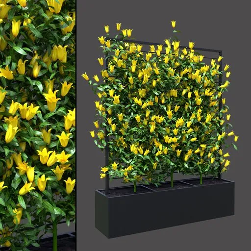 Yellow Floral Wall