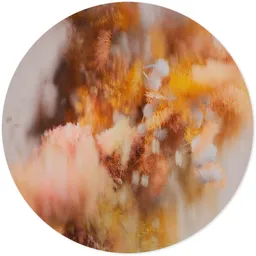 Pollination of Hortensia Autumn Carpet