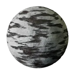 Procedural Birch Tree Bark