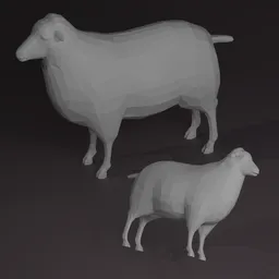 sheep
