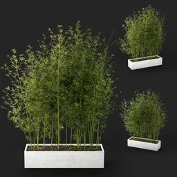 Bamboo Planter Box