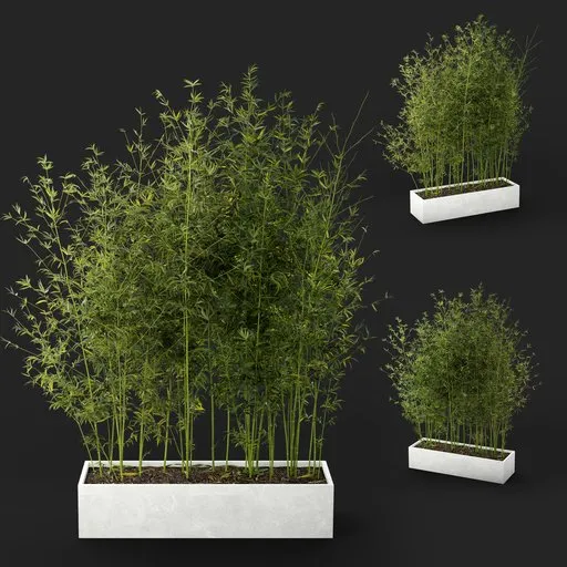Bamboo Planter Box