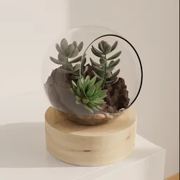 Glass Sphere Succulent Terrarium