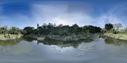 Forest Pond 360 Panorama