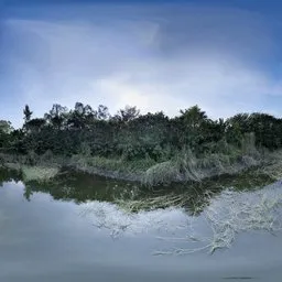 Forest Pond 360 Panorama