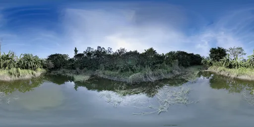 Forest Pond 360 Panorama