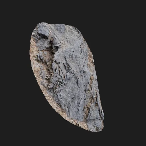 PX Rock
