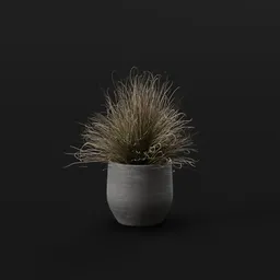 Grass Foothill Med Pot