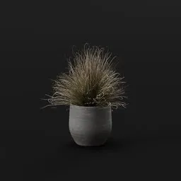 Grass Foothill Med Pot