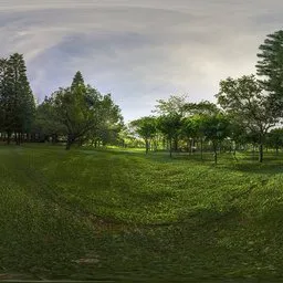 Green lawn at night