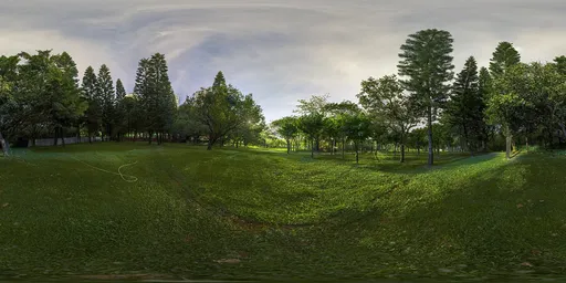 Green lawn at night