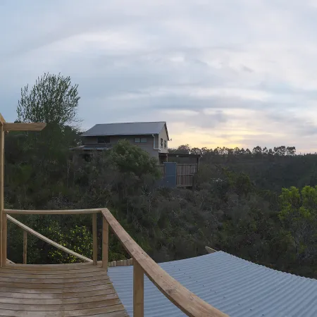 Treetop Balcony