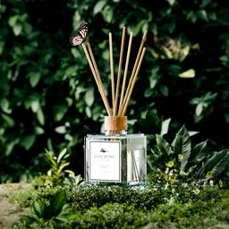 Natural Reed Diffuser Product Visualization