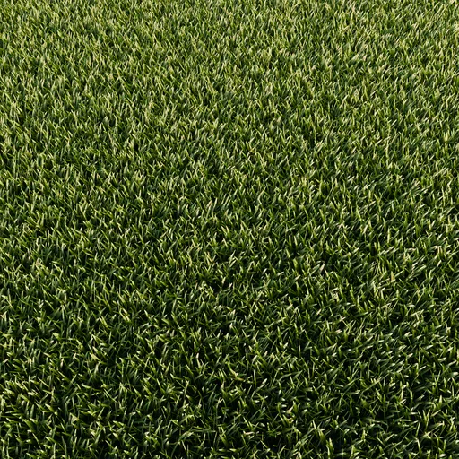 Grass - lawn procedural