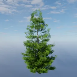 Evergreen Mid-Poly Tree